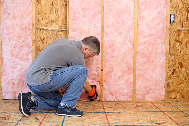 Best Geographic-Specific Insulation Services in Ranlo, NC